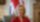Liz Truss